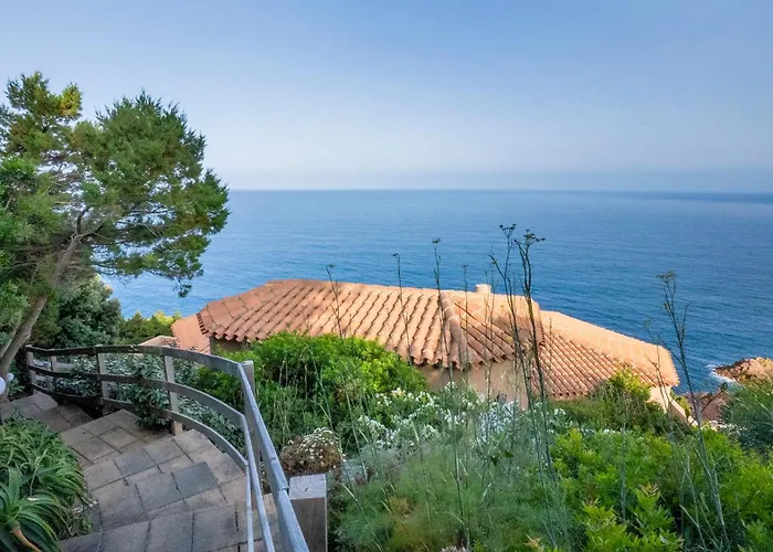 Nettuno Panoramic Pool With Patio Above The Sea Costa Paradiso